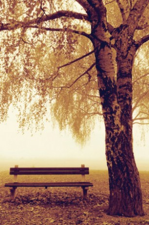 Park Bench [PLAKAT]