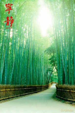 Pathways (Tranquility) [PLAKAT]