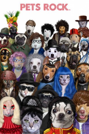 Pets Rock [PLAKAT]