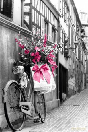 Pink Flowers [PLAKAT]