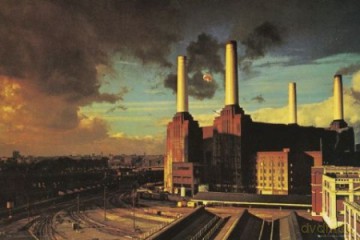 Pink Floyd Animals [PLAKAT]