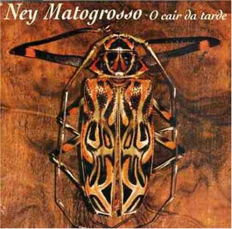 Ney Mato: O Cair [CD]