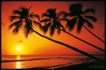 Plaża (o Zmierzchu) [PLAKAT]