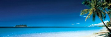 Plaża (poranek) [PLAKAT]