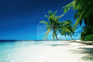 Plaża (Relax) [PLAKAT]