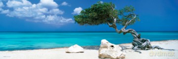Plaża, Fale Morskie [PLAKAT]