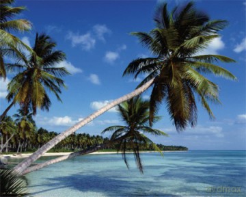 Rajska Plaża - Tropiki [PLAKAT]