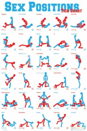 Sex Positions [PLAKAT]