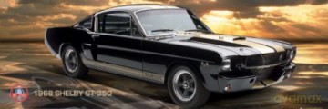 Shelby Mustang 66 Gt350 [PLAKAT]