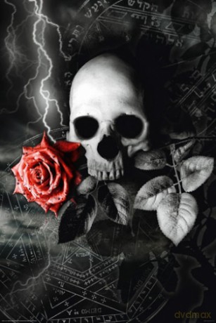 Skull Rose [PLAKAT]
