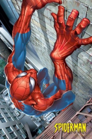 Spider-Man (Climbing) [PLAKAT]