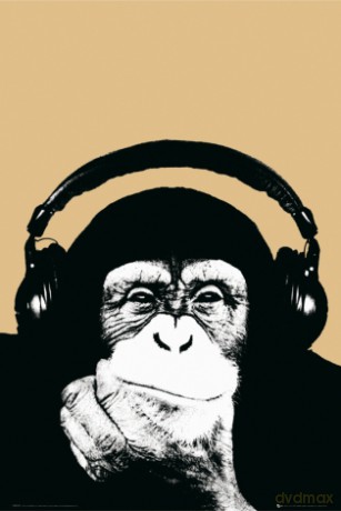 Steez (monkee) [PLAKAT]