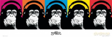 Steez Monkee [PLAKAT]