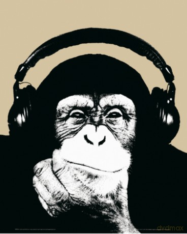 Steez Monkee [PLAKAT]