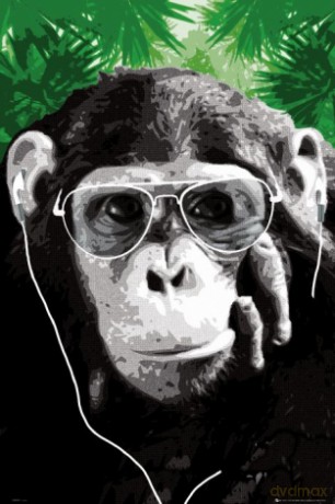 Steez Monkey Shades [PLAKAT]