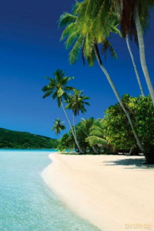 Szczodra Plaża [PLAKAT]
