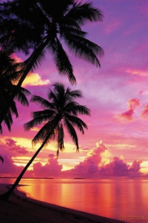 Tahiti (zachód Słońca) [PLAKAT]