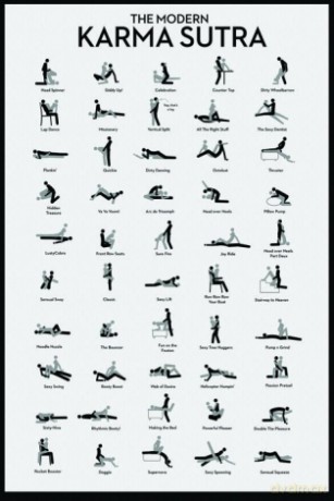The Modern Karma Sutra [PLAKAT]