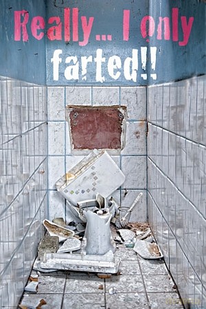Toaleta (only Farted) [PLAKAT]