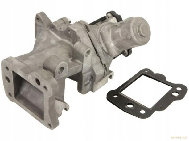 Magneti Marelli 571822112106 Zawór AGR Peugeot Fiat Citroen Ford Rover Lancia Alfa Romeo