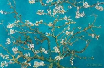 Van Gogh - Migdałowy Kwiat [PLAKAT]