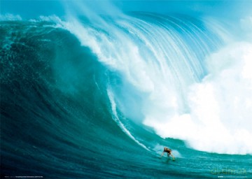 Wave Rider [PLAKAT]