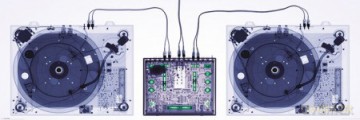 X-Ray Decks [PLAKAT]