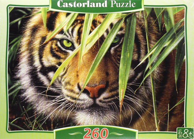 CASTOR 260 Emerald Forest (Szmaragdowy las) 27200 [PUZZLE]