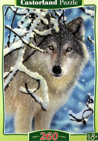 CASTOR 260 Broken Silence (Przerwane milczenie) 27224 [PUZZLE]