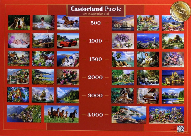 CASTOR 1000 Copy of: Flower Stand in Paris (Kwiaciarnia w Paryżu) C-102921 [PUZZLE]