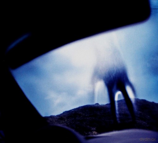 Nine Inch Nails: Year Zero (Digipack) [CD]
