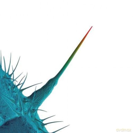 Peter Gabriel: And I'll Scratch Yours [CD]