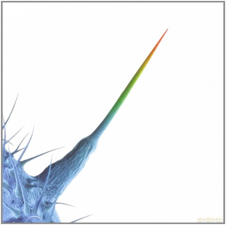Peter Gabriel: And I'll Scratch Yours [CD]