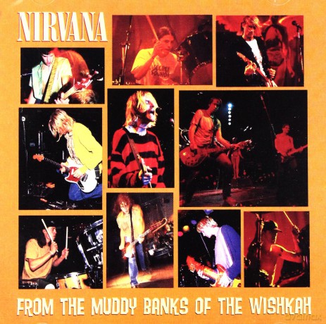 Nirvana: From The Muddy Banks Of Wishkah [CD]