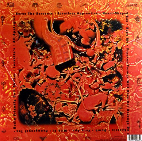 Nirvana: In Utero [Winyl]