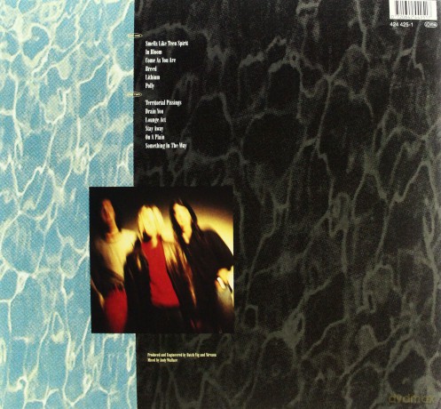 Nirvana: Nevermind [Winyl]