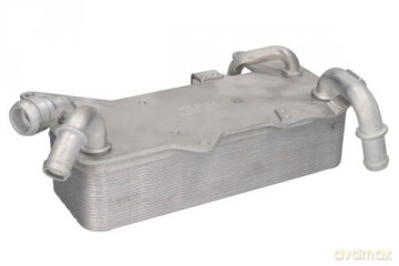 Thermotec D4A023TT Chłodnica oleju, automatyczna przekładnia Audi VW