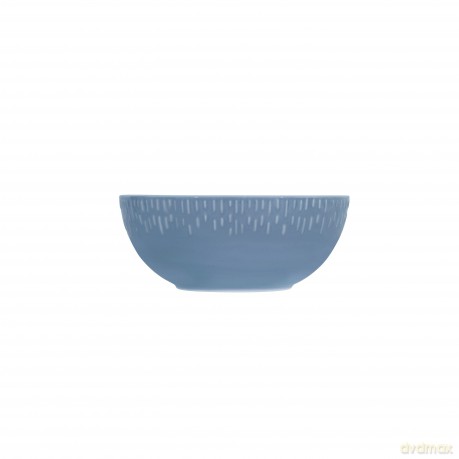 Aida - Life in Colour - Confetti - Blueberry saladbowl w/relief porcelain (13430)