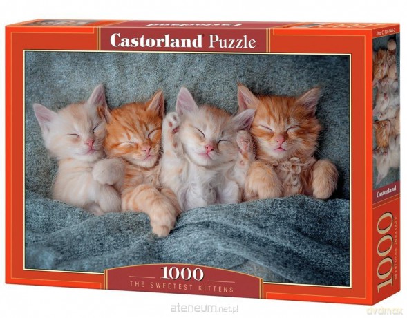 CASTORLAND 1000 el. The Sweetest Kittens [PUZZLE]