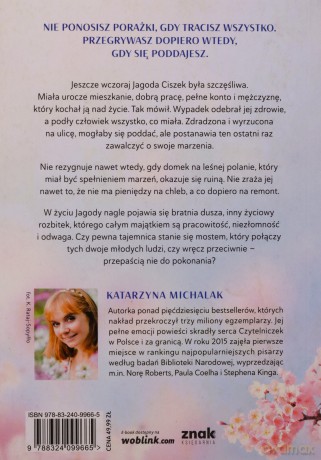 Domek nad potokiem - Katarzyna Michalak [KSIĄŻKA]