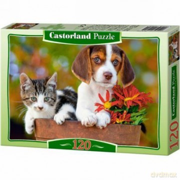 CASTOR 120 MINI Najlepsi kumple A-12022-Z [PUZZLE]