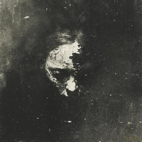 The Answer Lies In The Black Void: Thou Shalt [1xWinyl]