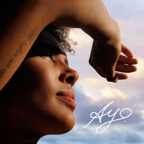 Ayo: Ticket To The World [CD]