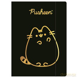 Teczka A4 z gumką Pusheen Gold