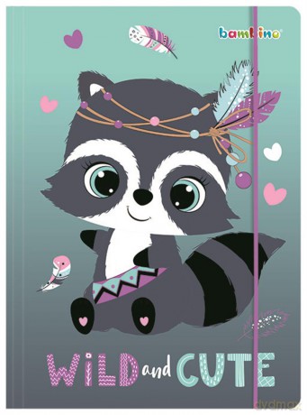 Teczka A4 z gumką Racoon