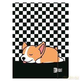 Teczka A4 z gumką Sleepy Corgi paczka 10 szt.