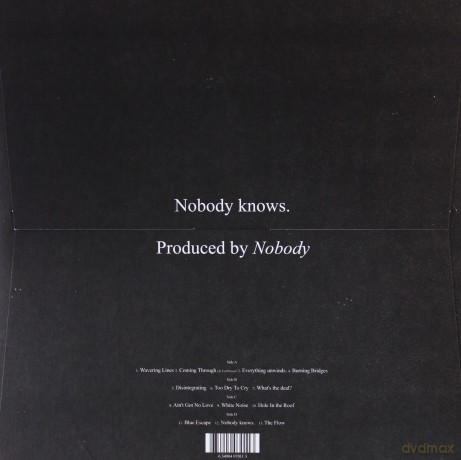 Willis Earl Beal: Nobody Knows [WINYL]