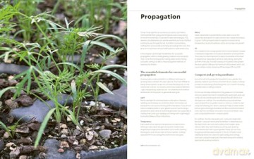 100 Herbs To Grow - Jekka Mcvicar [KSIĄŻKA]