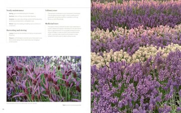 100 Herbs To Grow - Jekka Mcvicar [KSIĄŻKA]
