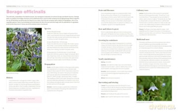 100 Herbs To Grow - Jekka Mcvicar [KSIĄŻKA]